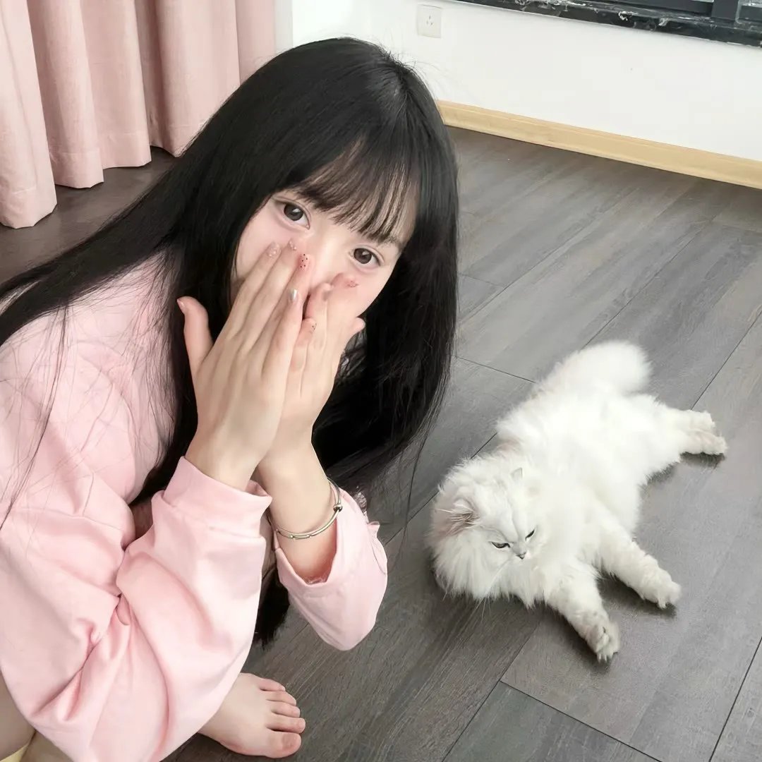 野猫嬉春